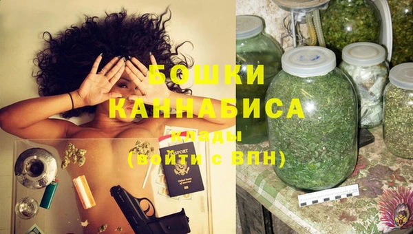 ГАЛЛЮЦИНОГЕННЫЕ ГРИБЫ Медногорск