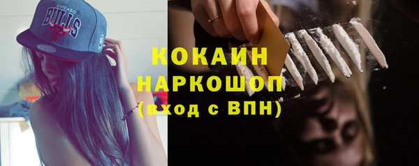 герыч Мегион