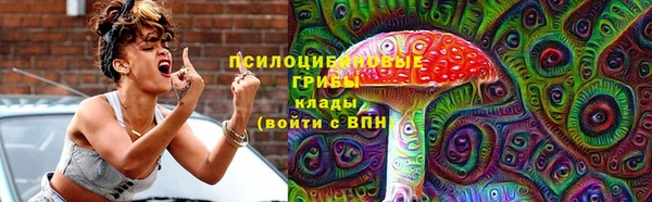 мет Медвежьегорск