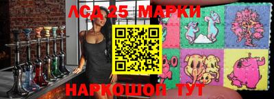Альфа ПВП Малгобек