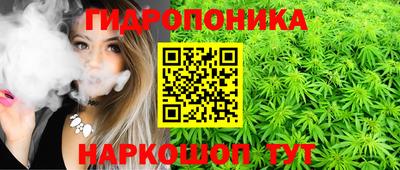 mdpv Мариинск