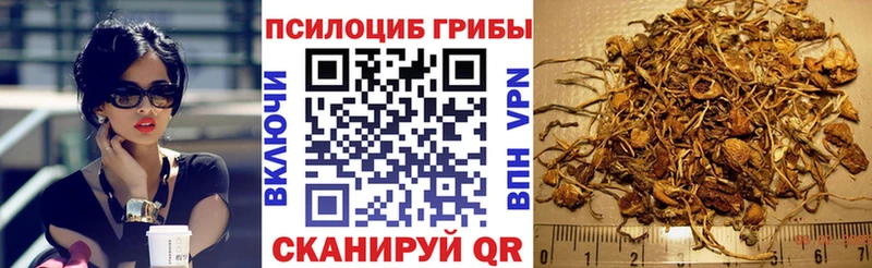 Галлюциногенные грибы Psilocybe Усинск
