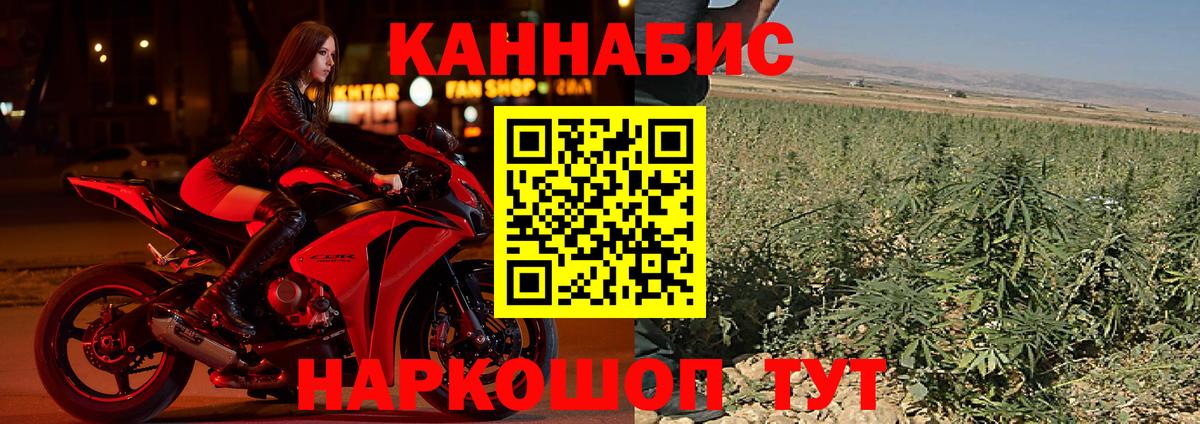 Конопля OG Kush Усинск